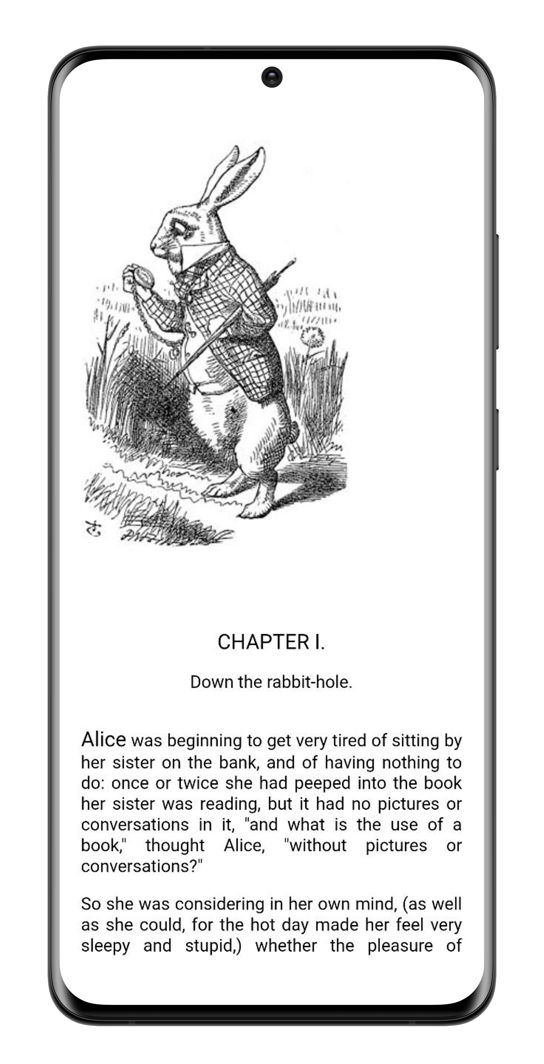 Reading screen where users can read selected books.